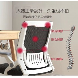 OFFICE Chairs 學習椅 家用電腦椅 職員辦公椅 乳膠椅