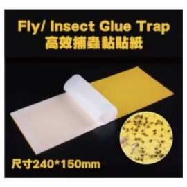 高效捕蟲黏貼紙 Fly/Insect Glue Trap 