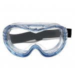 3M Goggle