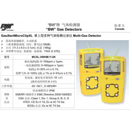 BW Gas Detectors 氣體測試器