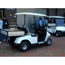 Golf Carts